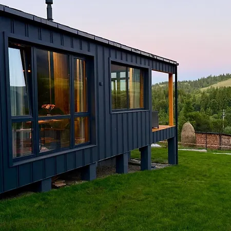 Chalet мої гори Pilipets